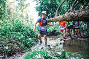 BIB: 
                            <button type="button" onclick="openModal(25462370)" class="btn btn-primary btn-sm float-right btn-popup" data-toggle="modal" data-target=".modal-high-quality">
                        <i class="fas fa-shopping-cart"></i> Add to Cart
                    </button>
                                            <button type="button" onclick="isThisMe(25462370, true)" class="btn btn-success btn-sm float-right btn-popup btn-isme hidden" data-toggle="tooltip" data-placement="bottom" title="นี่คือรูปของคุณใช่ไหม คลิกที่นี่เพื่อเอาเข้าอัลบั้ม">
                        <i class="fas fa-plus"></i> Add to album
                    </button>
                    <button type="button" onclick="isThisMe(25462370, false)" class="btn btn-warning btn-sm float-right btn-popup btn-isnotme hidden">
                        <i class="fas fa-ban"></i> Remove from album
                    </button>